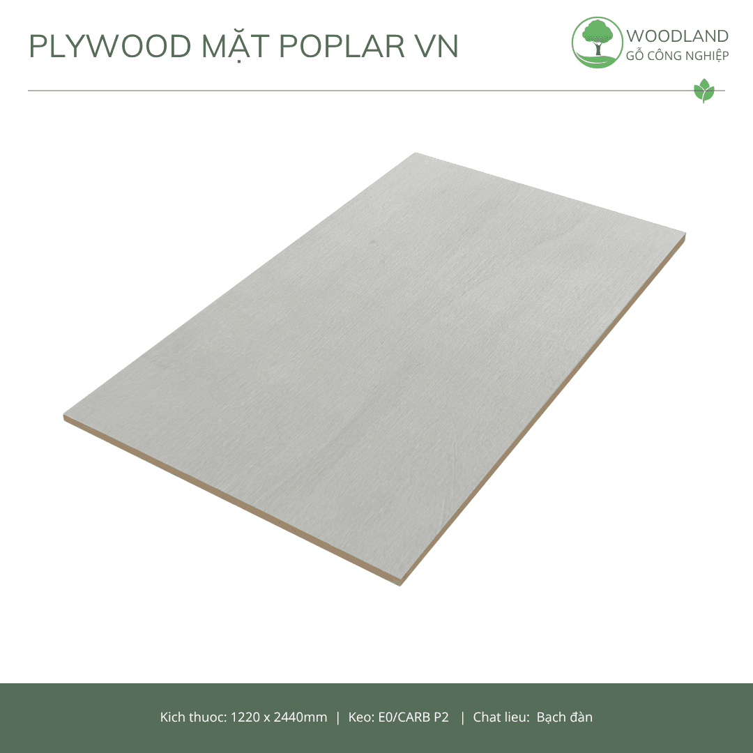 Plywood Mặt Poplar Việt Nam