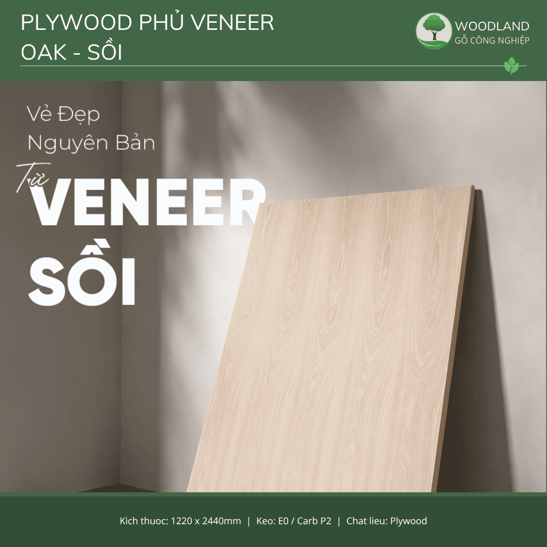 Plywood Veneer - Oak ( Gỗ Sồi )