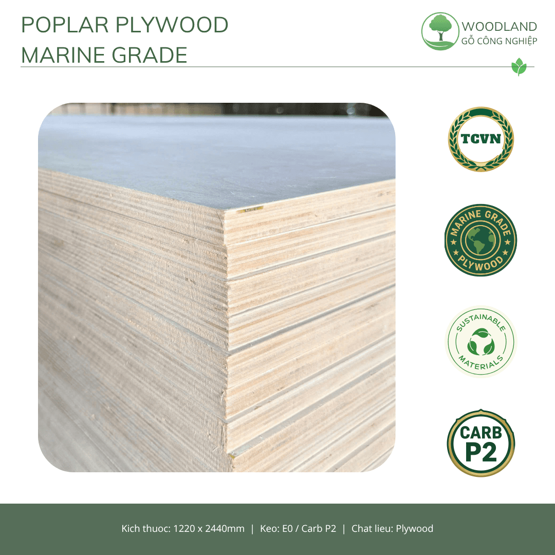 Plywood Poplar Marine