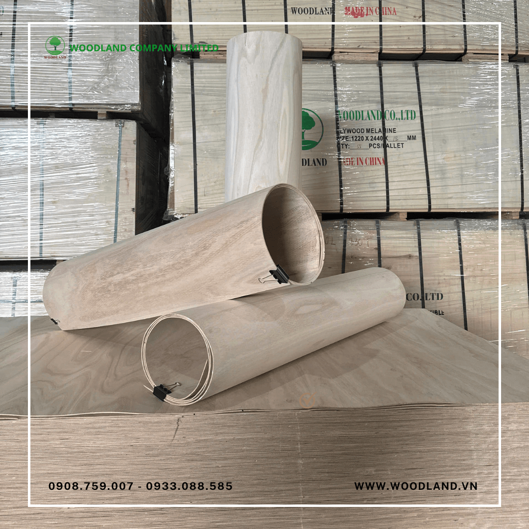 Plywood uốn cong: Ứng dụng phổ biến, chi phí đầu tư và độ bền khi sử dụng